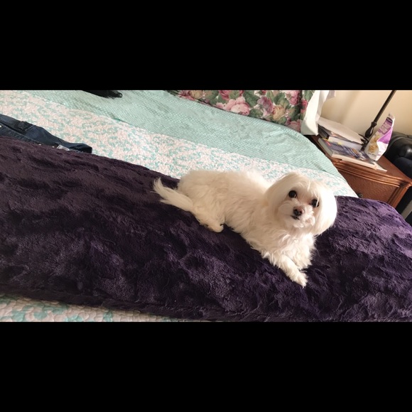 143cjean
